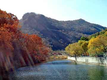 澳门二四六天天彩图库，黄鳝 肛门